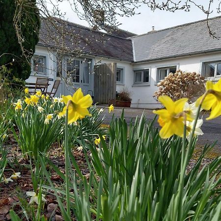 Dinefwr Cottage Carmarthen Buitenkant foto