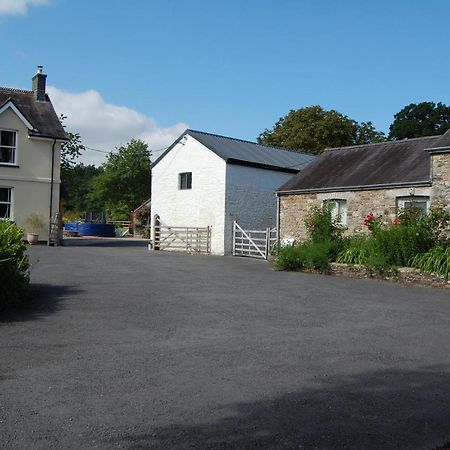 Dinefwr Cottage Carmarthen Buitenkant foto