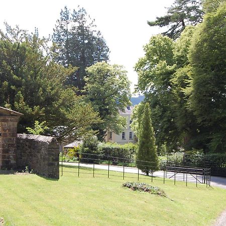 Dinefwr Cottage Carmarthen Buitenkant foto