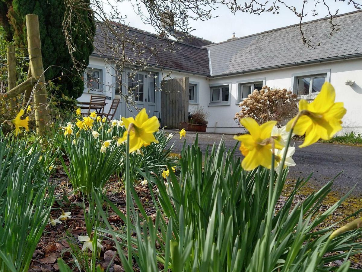 Dinefwr Cottage Carmarthen Buitenkant foto