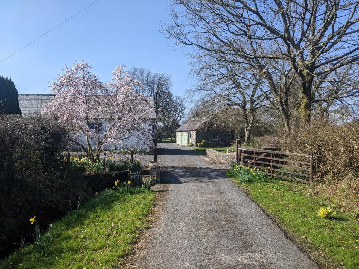 Dinefwr Cottage Carmarthen Buitenkant foto