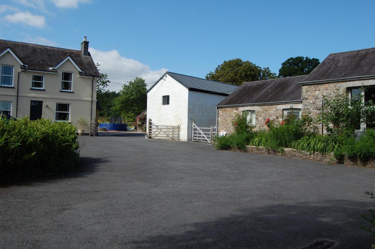 Dinefwr Cottage Carmarthen Buitenkant foto