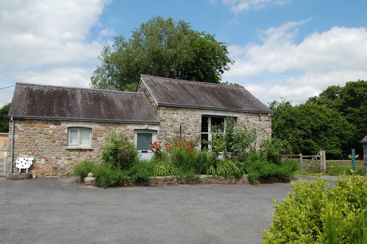 Dinefwr Cottage Carmarthen Buitenkant foto