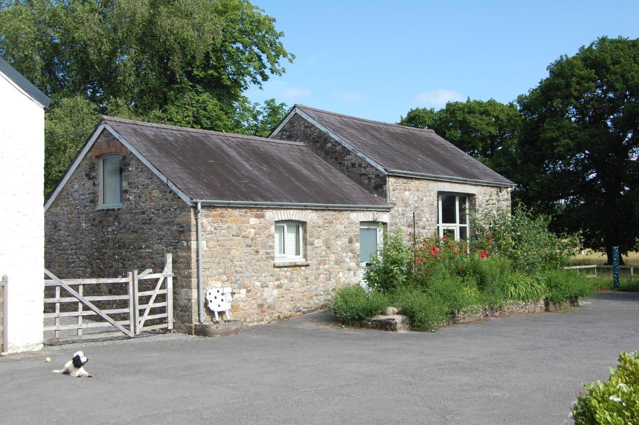 Dinefwr Cottage Carmarthen Buitenkant foto