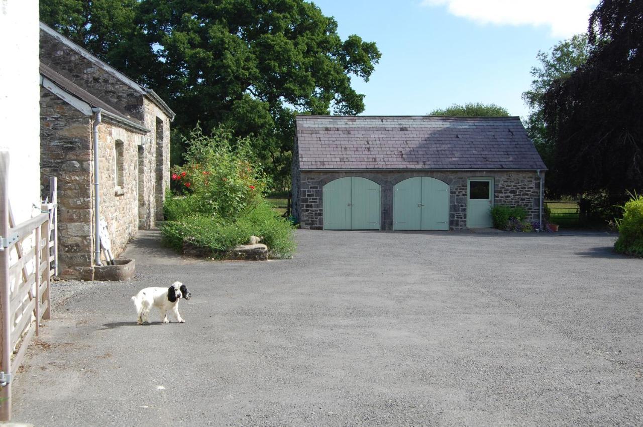 Dinefwr Cottage Carmarthen Buitenkant foto