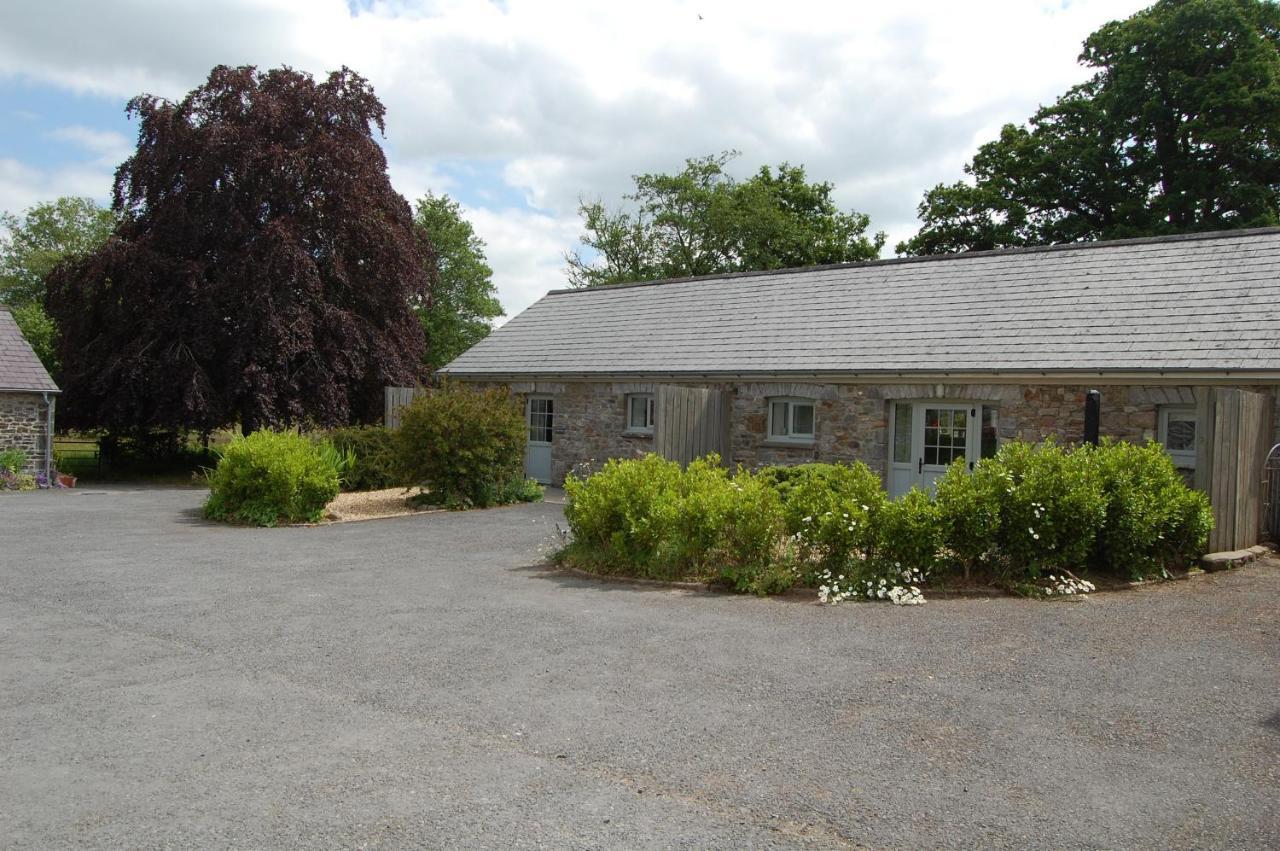 Dinefwr Cottage Carmarthen Buitenkant foto